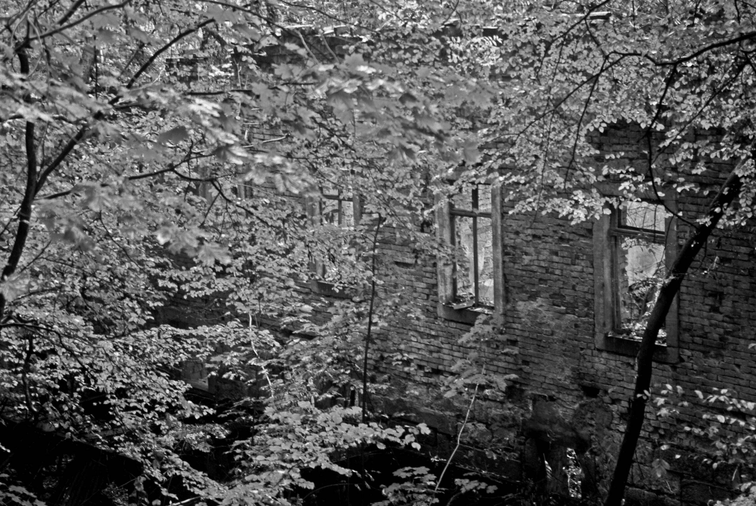 Wie unser Vanlife begann. Eine Ruine mit Bäumen davor, symbolisiert, dass aus Altem Neues entstehen kann. Das Bild wurde bewuß in schwarz-weiß gehalten.