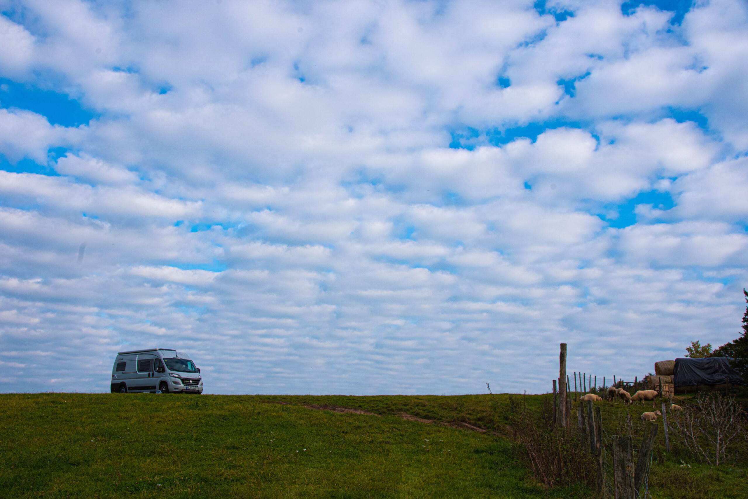 Auf einem grasbewachsenen Hügel ist in der Ferne ein Campervan zu sehen. Der Himmel ist blau mit weißen Wolken durchwirkt, die wie Wattebällchen ausschauen